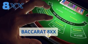 Baccarat 8XX - Trải Nghiệm Chơi Bài Đa Dạng Và Hấp Dẫn