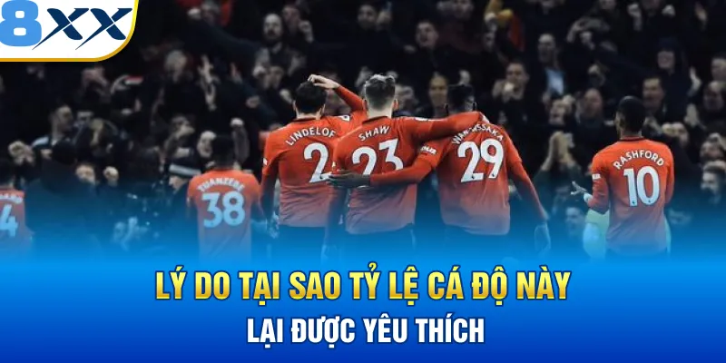 Lý do tại sao tỷ lệ cá độ này lại được yêu thích