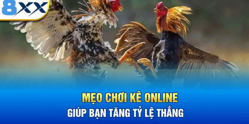 Mẹo chơi kê online giúp bạn tăng tỷ lệ thắng