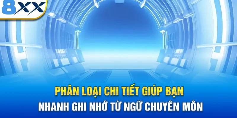 Phân loại chi tiết giúp bạn nhanh ghi nhớ từ ngữ chuyên môn