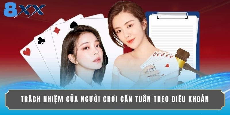 Trách nhiệm của người chơi cần tuân theo điều khoản